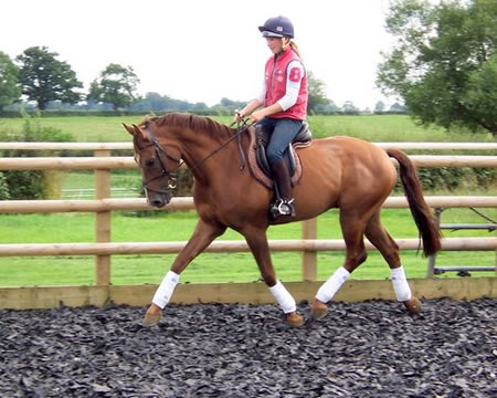 Fine World - Contact Sophie for details