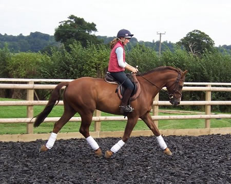 Fine World - Contact Sophie for details