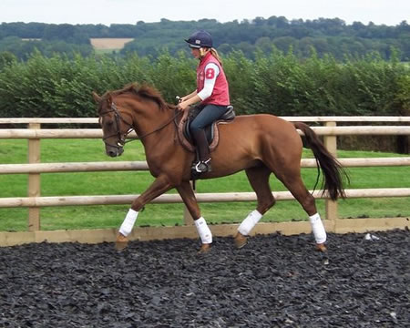 Fine World - Contact Sophie for details