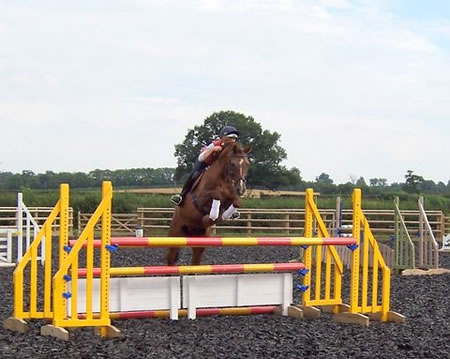 Fine World - Contact Sophie for details