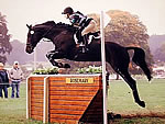 Sophie pictured on 'Toby' later sold to a Spanish rider