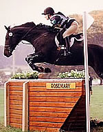 Marina Lawson Smith on Fancy That II